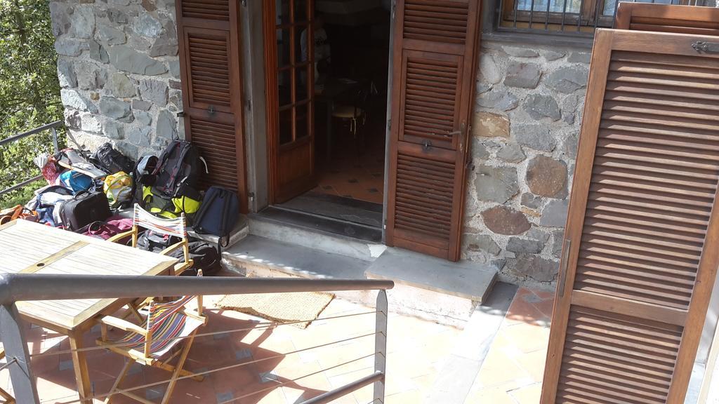 Arvasia Vernazza Luaran gambar