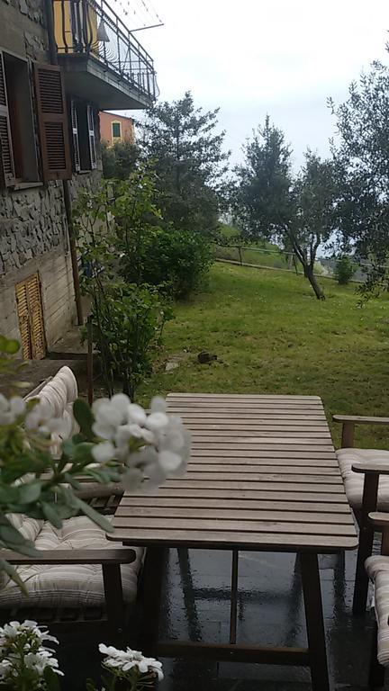 Arvasia Vernazza Luaran gambar