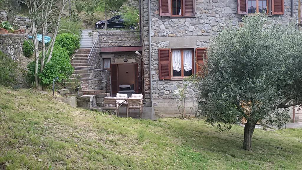 Arvasia Vernazza Luaran gambar