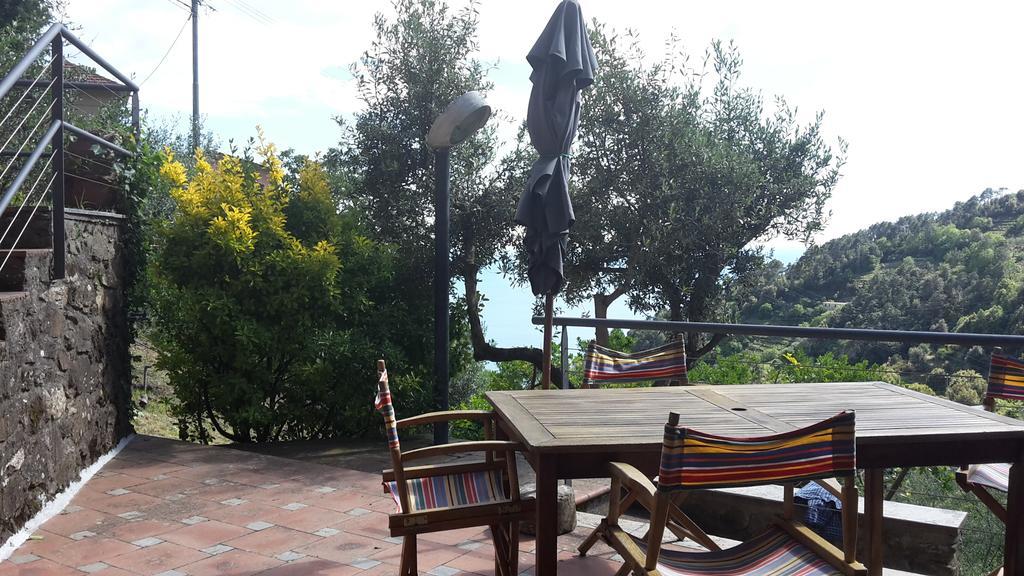 Arvasia Vernazza Luaran gambar